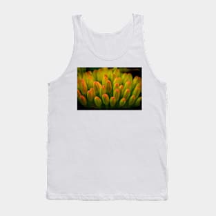 Agave Serenade Tank Top